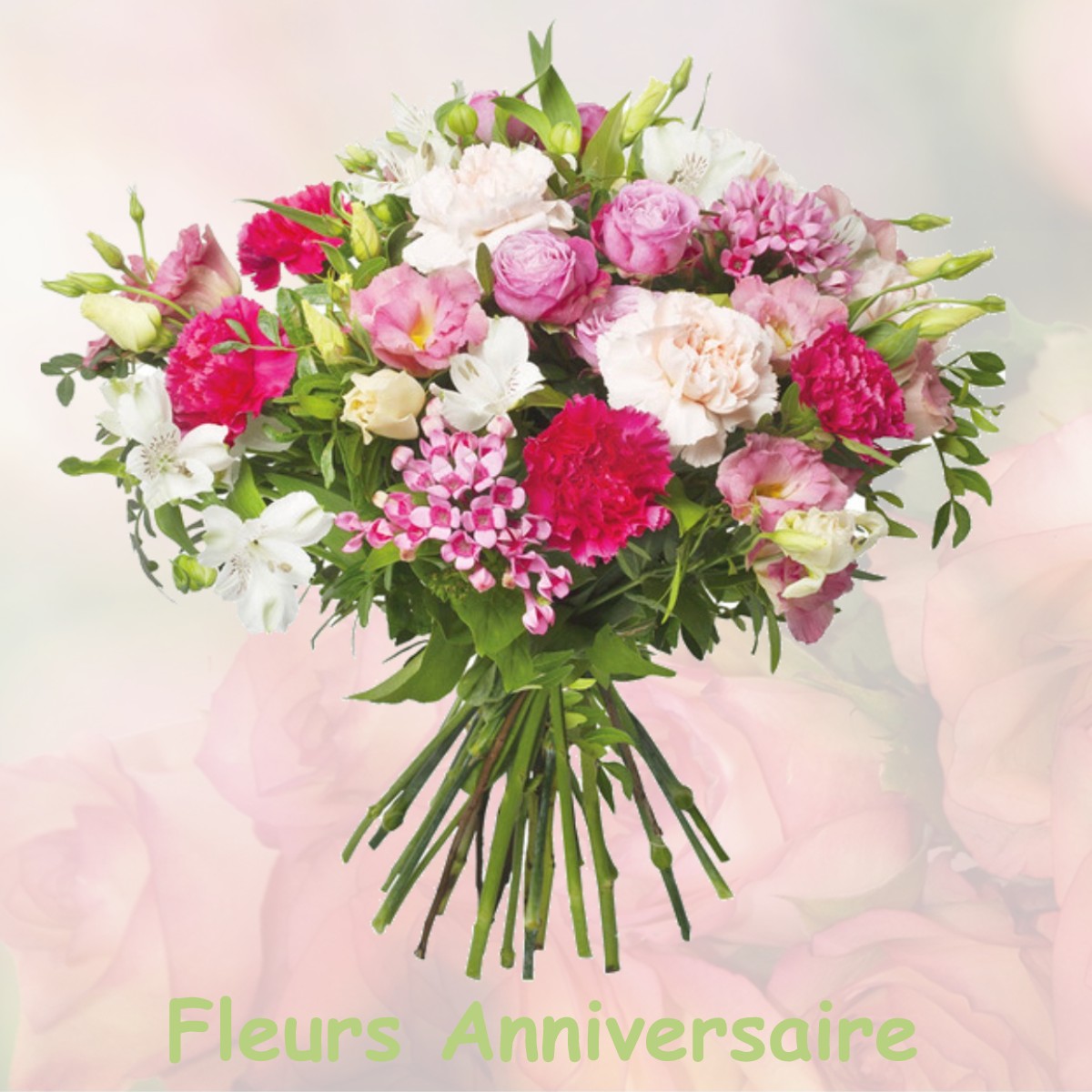 fleurs anniversaire DOMPIERRE-SUR-CHARENTE